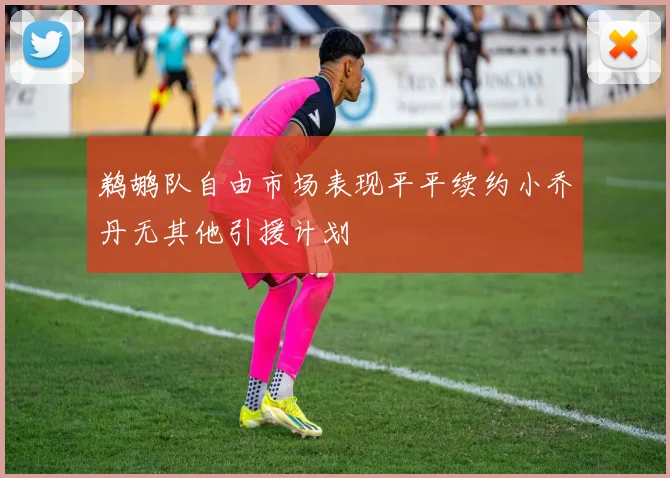 鹈鹕队自由市场表现平平续约小乔丹无其他引援计划